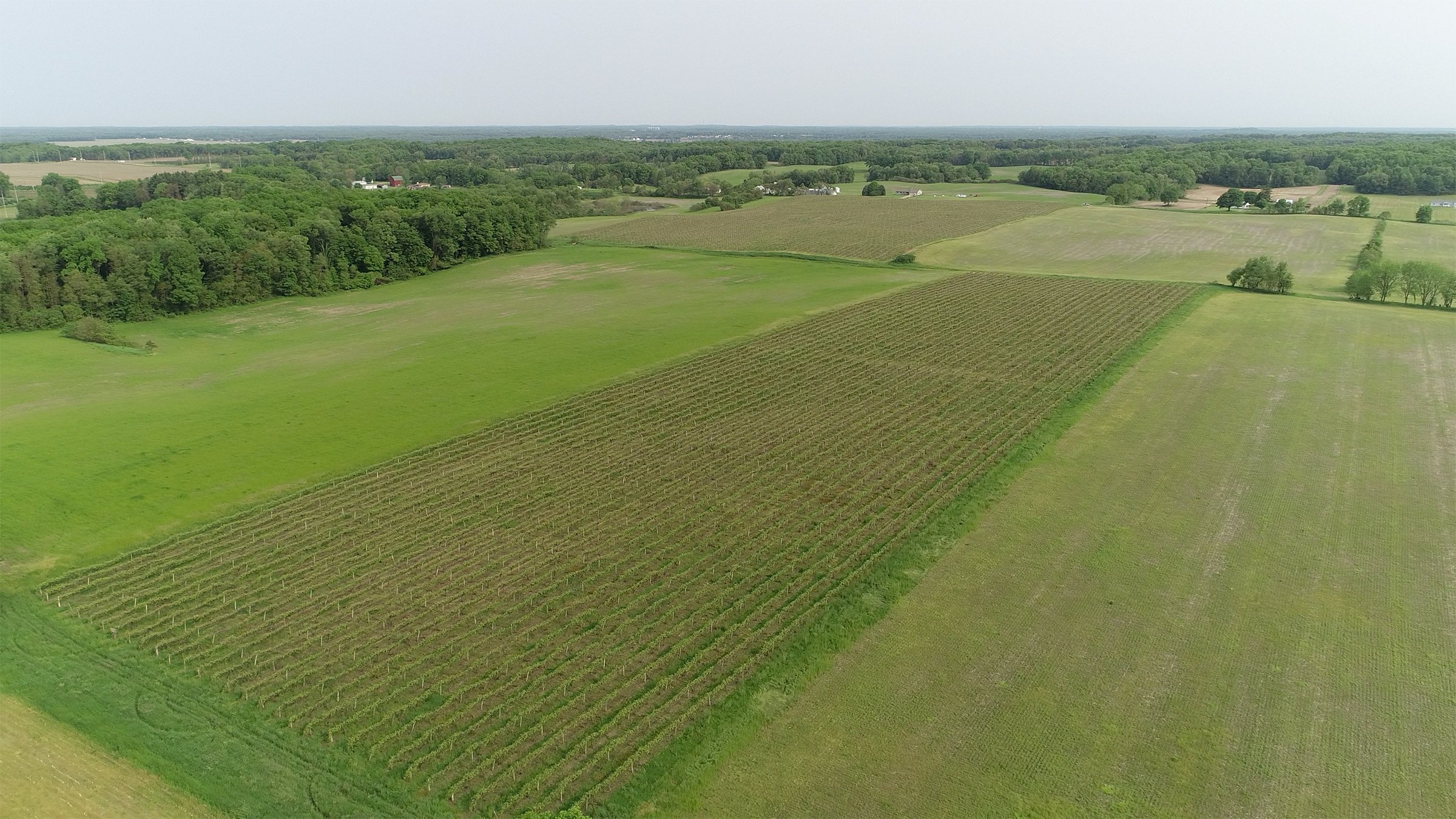 Van Buren County, Michigan farmland - LAND AUCTION - 194+/- ACRES OFFERED IN 5 TRACTS IN VAN BUREN COUNTY, MICHIGAN